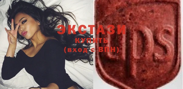 шишки Магас