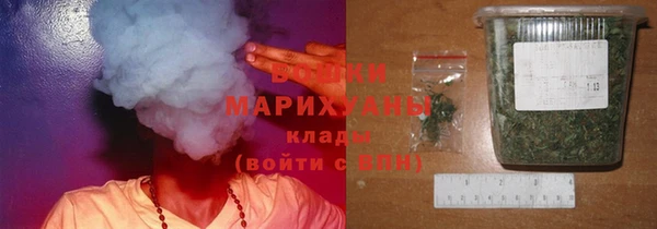 шишки Магас