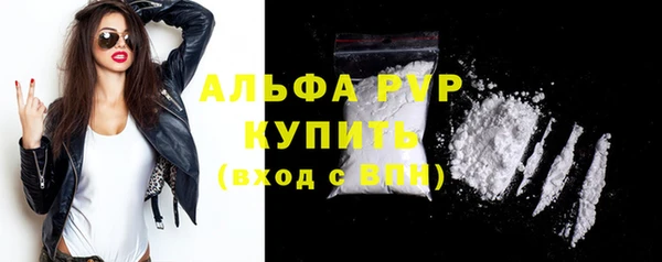 шишки Магас