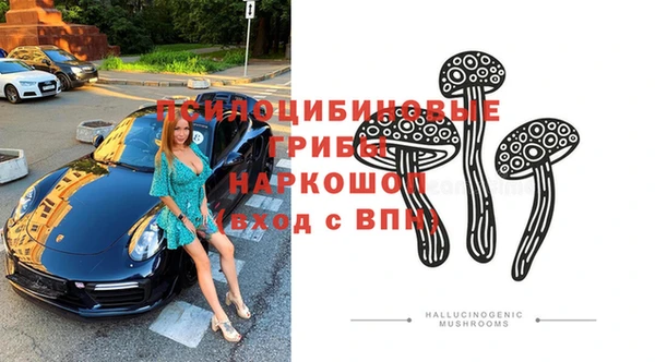 шишки Магас