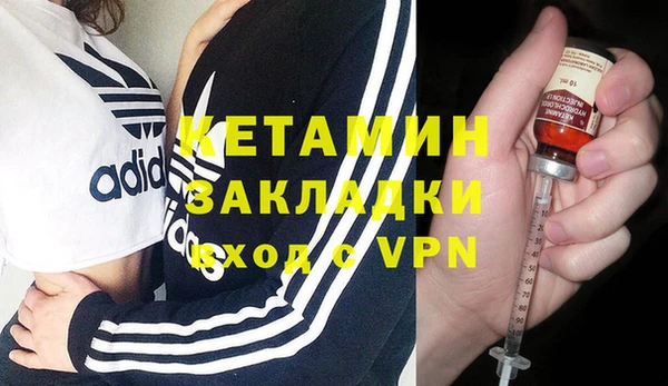 шишки Магас