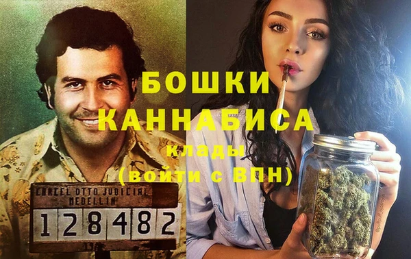 шишки Магас