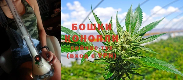 шишки Магас