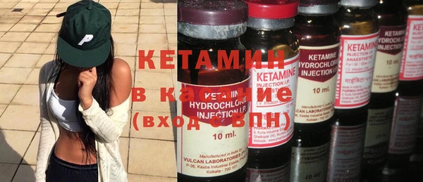 шишки Магас