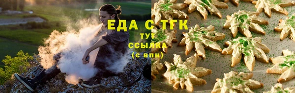 шишки Магас