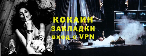 шишки Магас