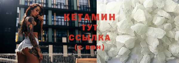 шишки Магас