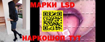 прущие грибы Дубна