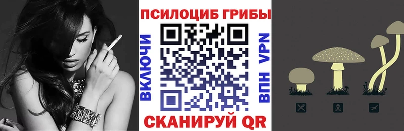 MEGA как войти  shop как зайти  Псилоцибиновые грибы Psilocybine cubensis  Ливны 