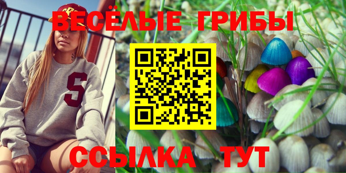 Галлюциногенные грибы мицелий Ливны